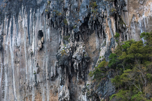 Stalactites hanging from the face of a limestone cliff, on a tropical island in the Andaman Sea, near Krabi, southern Thailand.

