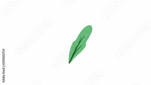 Single Leaf Animation 4K Alpha Channel Seamless Loop Motion Graphic