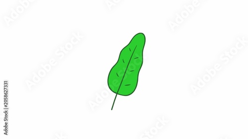Green Leaf Animation with Alpha Channel – 4K Seamless Loop Botanical Element