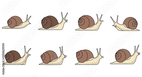 Foto Snails In Various Poses Line style Vector Illustration