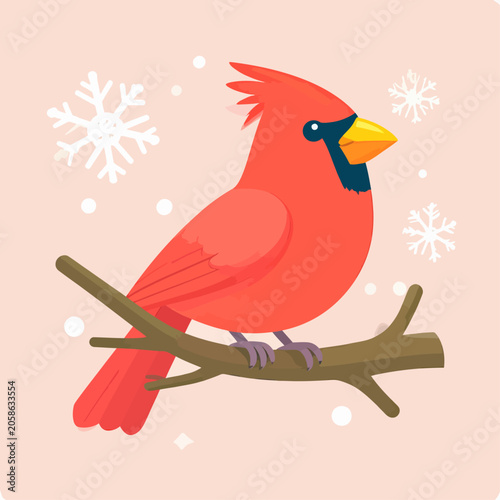Red Northern Cardinal Bird Vector Illustration on Winter Branch