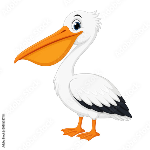 Happy Pelican Bird Vector Illustration Isolated on White Background