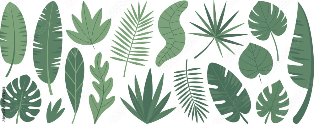 Fototapeta premium Assorted green tropical leaves on a white background tropical leaves, jungle foliage