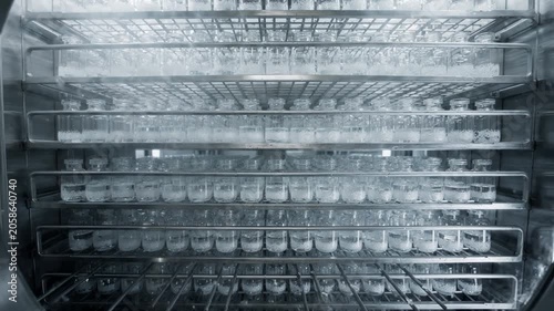 Commercialscale freeze dryer interior with rows of nested trays holding clear vials capturing the lyophilization icesublimation phase in sterile pharmaceutical production.