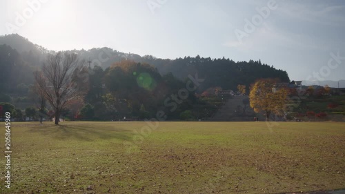 秋の宮ヶ瀬湖畔園地 紅葉 Autumn foliage at Miyagase Lakeside Park