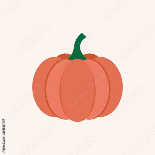 Simple orange pumpkin illustration on light background.