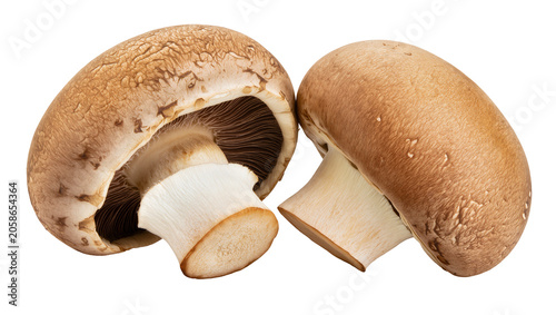 Photography Two brown portobello mushrooms with visible gills, isolated on transparent backg