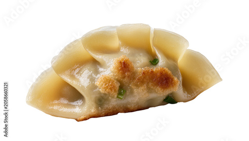 Tableau sur toile Golden pan-fried gyoza dumpling with green onions, isolated on transparent backg