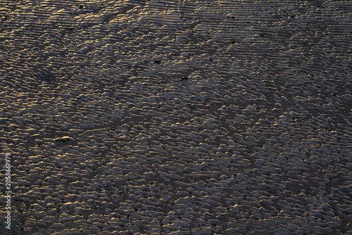 Photography Golden light catches rippled wet sand texture at low tide