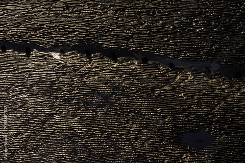 Photography Golden light catches rippled wet sand texture at low tide