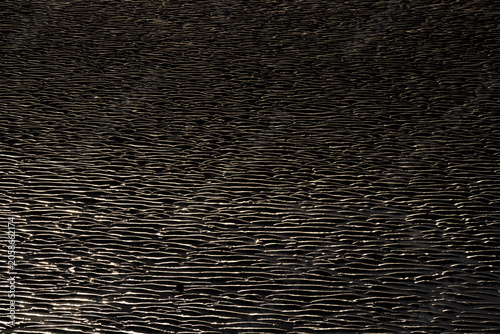 Billede på lærred Golden light catches rippled wet sand texture at low tide