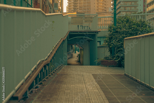 Fotografija Empty pedestrian footbridge with green railings at dusk