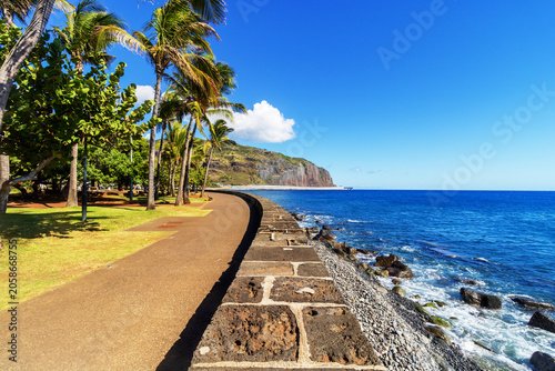 Tropical coast with palm trees and volcanic cliff - Barachois in Reunion island 