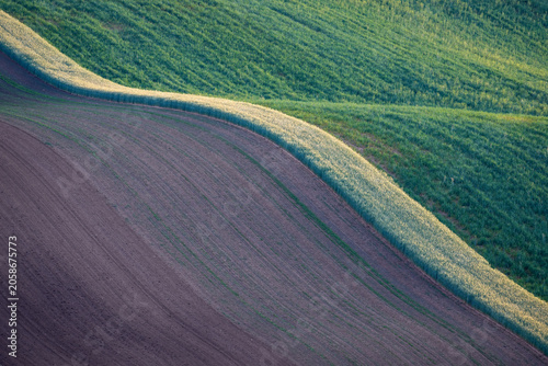 Abstract agricultural landscape with curved field patterns and bio strips