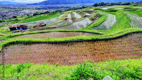 田植えの終わった姨捨の棚田