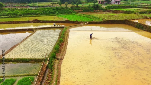 Farmers use tillers to plow, transplant rice seedlings, and fertilize in the fields.