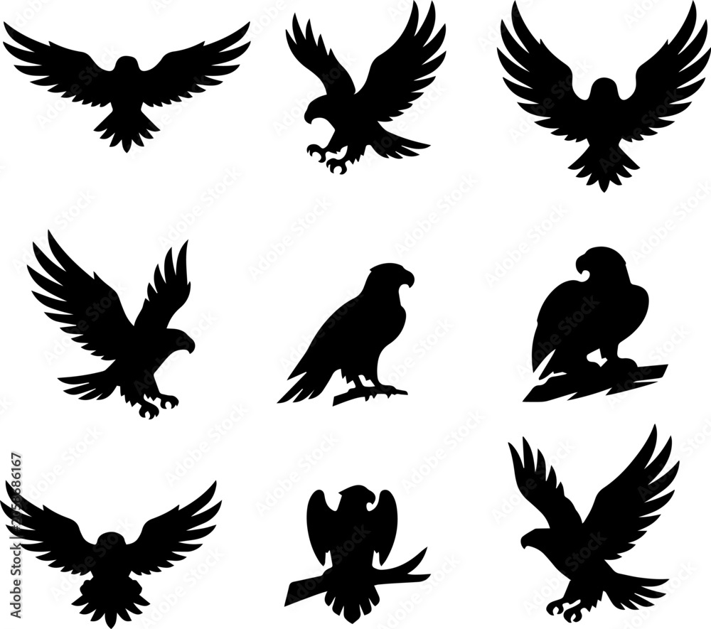 Naklejka premium eagle silhouette, fliying bird silhouette 