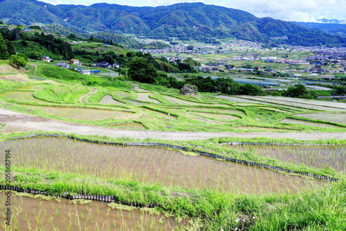 田植えの終わった姨捨の棚田