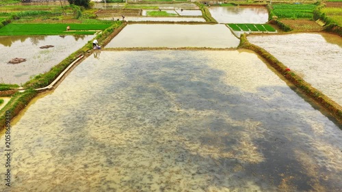 Farmers use tillers to plow, transplant rice seedlings, and fertilize in the fields.