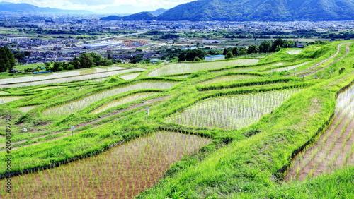 田植えの終わった姨捨の棚田