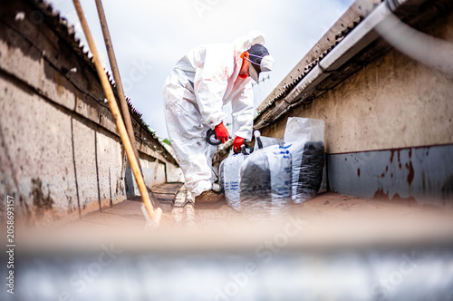 Принти на полотні asbestos removal from a narrow alley worker wear hazmat clothing to protect him