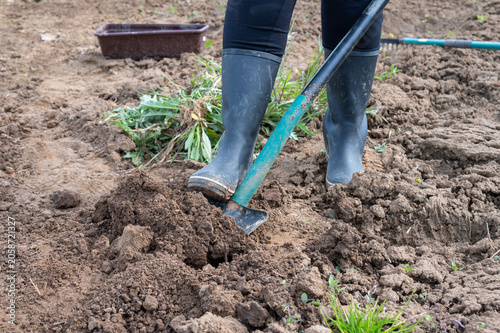 Close-up of a gardener digging and turning soil with a spade in a vegetable garden, preparing fertile ground for planting and cultivation.