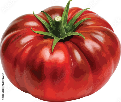 Large Wrinkled Red Heirloom Tomato fruit vegetable