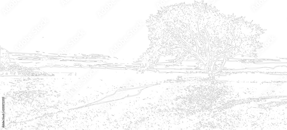 Fototapeta premium Stylized line landscape with a large tree and rolling hills under a bright sky line nature