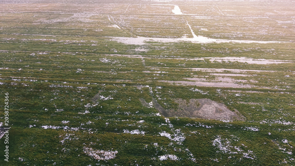 Obraz premium Morning frost on wet agricultural meadow surface