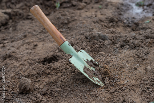 Garden hand trowel in freshly prepared soil, gardening tool for planting, sowing and garden maintenance, close-up of backyard horticulture work.