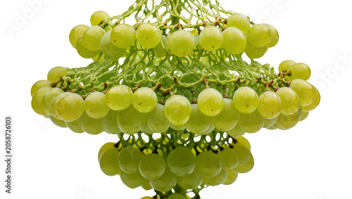 Bild auf Leinwand Green seedless grapes bunch on stem