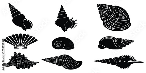 Foto Seashell silhouette icon set featuring black vectors of marine conch scallop aug