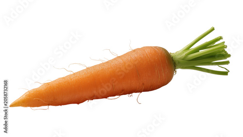 Obraz na płótnie Orange carrot with green leafy tops and fine root hairs
