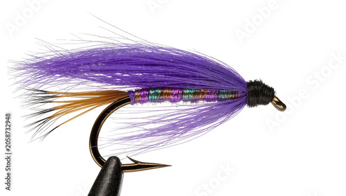 Картината върху платно Purple streamer fly fishing lure with metallic body and feather tail