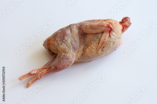 Fresh raw quail from a home breeding during processing. Next step is gutting, top view on white background.