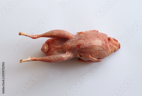 Fresh raw quail from a home breeding during processing. Next step is gutting, top view on white background.