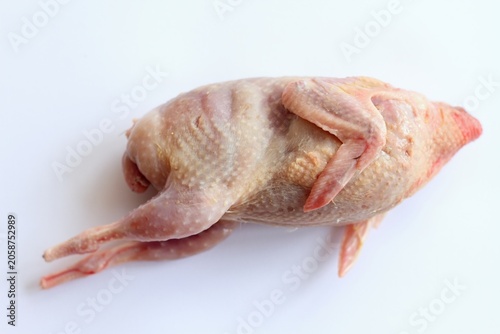 Fresh raw quail from a home breeding during processing. Next step is gutting, top view on white background.