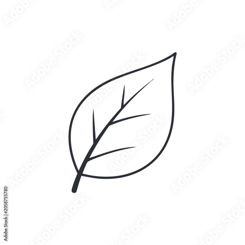 White blank background provides clean empty canvas for versatile design and copy space