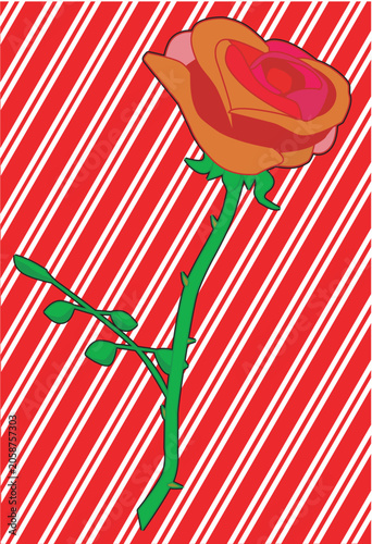 Photos Red Rose Card Background