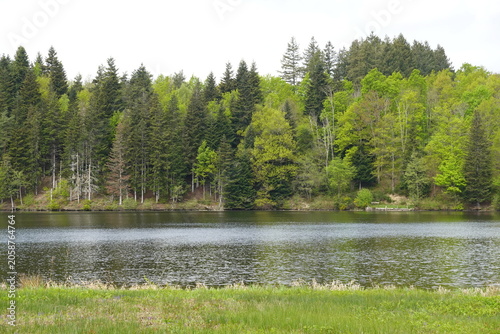 Balade en pays auvergnat, autour du lac d'Aubusson en Auvergne
