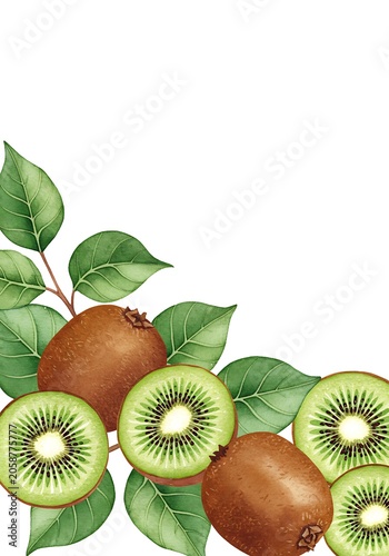 Watercolor Kiwi Delight: Fresh, Vibrant Fruit Illustration