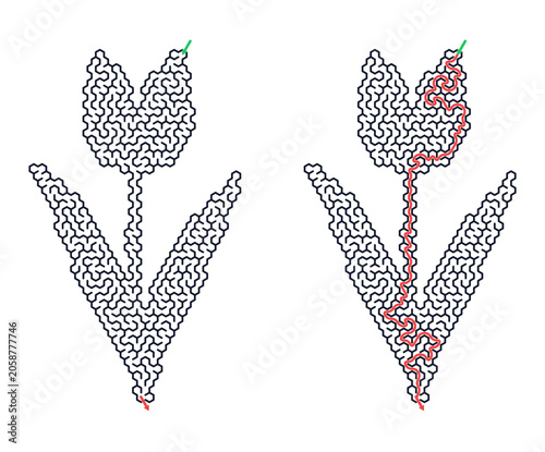Maze illustration of tulip flower with red and green paths  