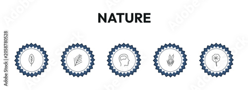 nature outline icon set. orange leaf, pine leaf, human brian, orbicular and more. linear vector collection. editable stroke