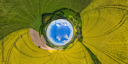 Canvastavla Oberlausitz zur Rapsblüte
