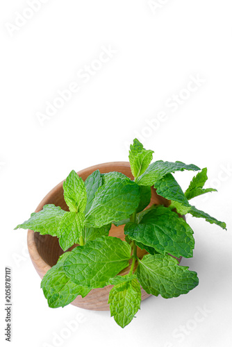 Fresh mint leaves in a wooden bowl isolated on white background. Minimalist organic eco herb composition with large vertical copy space.