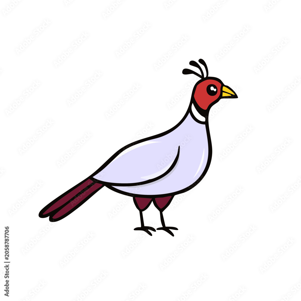 Fototapeta premium Cartoon Pheasant Bird with Red Head and Purple Feet Standing Isolated