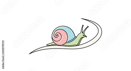 Foto Colorful Snail Shell Animal Slow.