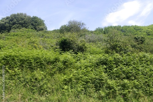 Environnement à Locmaria