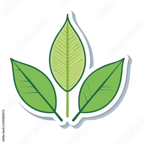 Three Green Leaves Icon with Transparent Background