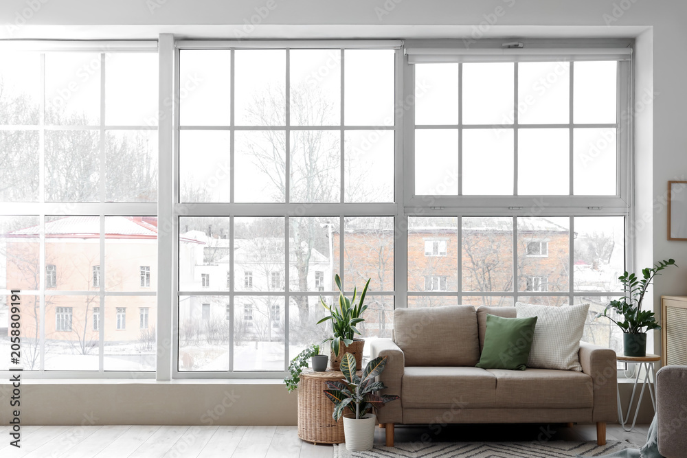 Obraz premium Interior of light living room with green houseplants, sofa and window